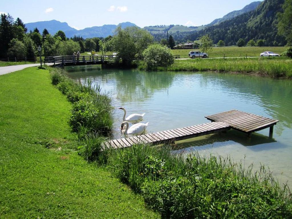 Pension Essbaum Walchsee Exterior foto